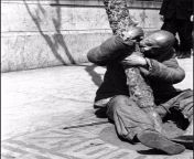 A starving Chinese man resorts to eating tree bark outside of the British embassy during the Chinese Famine, 1942. Largely due to the Chinese Civil War, around 3 million people died in Henan province due to starvation or disease from 1942 to 1943. from chinese amsr