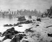 View of dead US Marines on the beach of Betio Island, Tarawa Atoll, Gilbert Islands, after the U.S. invasion in November 1943. Tarawa was attacked from 20 to 23 November 1943, the U.S. Marine Corps sustained 990 Marines killed and a further 2,296 wounded. from 延安安塞区哪里叫学生妹包夜服务薇信咨询网站▷ym232 com延安安塞区哪里有小姐上课服务▷延安安塞区哪里有小妹上课服务 4713