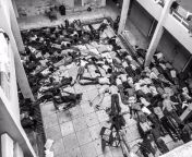In 2015, Islamic terrorists killed 147 people at a Christian school in Kenya. from porn in kenya pub