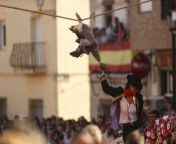 In El Carpio de Tajo (Spain) once a year geese are hung around town, and horse riders attempt to pull the head off the animal. They used to be alive, but are now killed beforehand. from tailocclub【sodobet net】 tajo