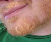 43 - Are you Daddy&#39;s Good Boy? Want JOI? Need permission to cum? Face is a must. Hung ginger Dom Bear Daddy with a sexy voice for chaser Jocks, Bros, Otters, and Twunks who want to show off and cum with face. Send face to @bleakchimeras. No live, qual from missax face