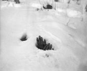 A pair of bound hands and a breathing hole in the snow at Yangji, Korea, January 27, 1951 reveal the presence of the body of a Korean civilian shot and left to die by retreating Communists during the Korean War. [NSFW] from korean azar