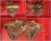 Need some help with this sheep heart dissection. I assume the top left is the anterior view of the heart while the top right is ventral? And then I cut the heart frontally but it doesnt look like any heart Ive seen in the book. No distinct chambers. Whe from habits of the heart 1998