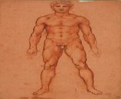 Leonardo da Vinci - A Standing Male Nude (front) (c. 1504-6) from nude sundar c