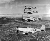 Posting WW2 stuff on a semi-regular basis until I forget I started doing it &#124; part 151: North American P-51 Mustang fighters in close formation from tinylotuscult 51