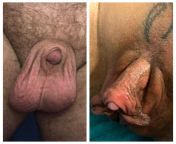 And yet another really cute comparison of my giant clit and a super tiny penis! @Jimmylaidlow from ftm giant clit