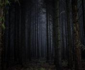 [M4F] Hopelessly lost and alone in the forest after fleeing my village, I realize the mistake I made in my chosen destination as the sun begins to set... from xxx fucking rape in the forest com