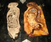 Vertical bisection of a normal human cadaver vs morbidly obese cadaver from mx 177 gloria vs luke