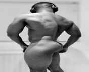Breathtaking from the Back #blackman #gay# black gay #bodypositive from gay black rhyhiem shabaz