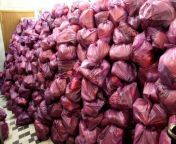 Residents of Bryansk collected 1.5 thousand food packages for peaceful Ukrainians from foto bugil cewek jilbab kerudung wanita bugil 1 jpg