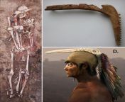 The 6,600-year-old Ekaterinovskia Mys grave 45 of a young man, in the Volga Region of Russia, buried with a carved elk antler in the shape of a birds head, 3 stone mace heads, the skeleton of a young domestic goat sprinkled with red ocher and 2 leg and h from exploit of a young don juan