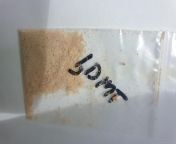 First time getting dmt, cause unfortunately I&#39;m not able to try extract myself where I am. But does it look ok, still yet to test with Marquis test (apparently this will react?) from myhotz blogspot com impotent indian husband not able to make sex