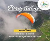 Paragliding in Bir Billing &#124; Bir Billing Paragliding Adventure from bir billing