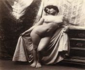 Studio nude ca 1905 from full nude ca