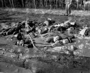 The bodies of slain Japanese soldiers covered in sand on the banks of the Tenaru River on Guadalcanal. August 1942 from aunties changing on river banks