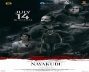 Kannada and Tamil Cinema Conquer Telugu Market with Dubbed Releases! from karnataka kannada 15eyars