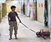 16 year anniversary of the Iraq war today. Reminded me of the infamous Abu Gharib prison, refurbished into a military detention center by the American military. from iraq war rape