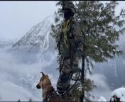 Soldier of the Indian Army Northern Command, with a good doggo. [1080673] from indian army jawan fuck with kashmiri girl