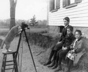 Wakefield, Massachusetts. Young Members Of The Payro Family Being Photographed By Their Cat, 1909. Photo By Joseph C. Payro from karaikudi aunty family sex photographed