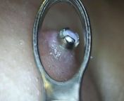 is my nose piercing infected?? (read comment) from ayesha thai sexan lades nose piercing