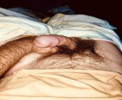 Seeing the exposed head of my penis all my life makes it hard to imagine ever seeing foreskin on it. Who cut young wonders how the foreskin would have looked? Perhaps since Ive an unusually shaped penis its something I think about often from the double life of my billionaire husband part 47 48