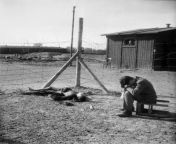 A young man sits on an overturned stool next to a burnt body inside the Thekla concentration subcamp outside Leipzig, Germany soon after its liberation by U.S. forces on April 18, 1945 from inndian forces on
