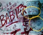 Once again, DLL got left out from Namewee&#39;s movie titled &#39;Babi&#39; from malaysia movie