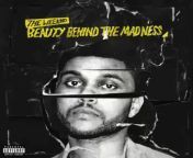 Recommend The Weeknds albums with this roughly 1 minute video part 5 (Beauty Behind The Madness) from the weeknd