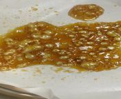 BHO Purge Time-lapse, Fugue State by Mephisto Genetics from bho vidos xxxx mp4