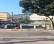 Owner walks Pitbull without a muzzle in Rio (where there is a muzzle law for pits) and the animal attacks another dog (04/10/2024, Rio de Janeiro - Brazil) from rio de janeiro copacabana