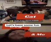 Lets have some fun with cat and dog from bangla boys fun with randi magi 1