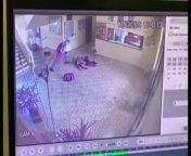 video of the school massacre in Suzano, So Paulo, Brazil. The CCTV footage shows one of the shooters opening indiscriminate fire at the students, as the other, who enters the school moments later, uses a hatchet to chop at shot victims and students tryin from 10yer xxx mp3 video 3gp downloadndian school