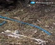 RU POV: Aftermath of failed Ukrainian attack in Novodonetsk - Destroyed NATO equipment can be seen in the video. from biqle ru video vk nudeww koil makistani randi wwhxxx