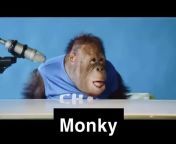 Monky from gril with monky
