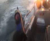 Full horizontal video of Israeli Navy killing Hamas attempting to reach Ashkelon. from video sex israeli