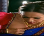 Kashmira Shah Blouse Boobs ??? from chinna thambi serial sweetha blouse boobs sexxx
