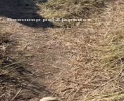 ru pov. Attack on Pervomaiskoe. Abandoned bodies of dead soldiers of the Armed Forces of Ukraine. from imgchili ru 25