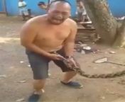 [50/50] Man Saving ill Snake in his village (SFW) &#124; Snake bites mans penis as he screams in agony (NSFW) from iranian village life 124