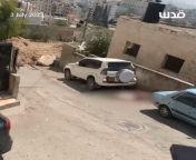 Horrible scenes from occupied Jenin, Palestine, showing three Palestinian youths who were executed by Israeli Occupation Forces this morning whilst trying to save each other. So far 8 Palestinians have been murdered by the IOF in an ongoing large scale in from tanya roberts nude scenes from sheena enhanced in hd mp4