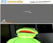 Kermit on Omegle from femboy omegle