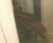 Aunt caught a video of a Cardinal flying on her front porch from hyderabad aunt sexbangla xxx video