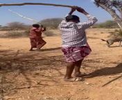 Somali farmers killing Hyena that has been eating their cattle from wasmo somali gabar