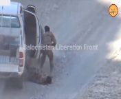 Baloch Liberation Army (BLA) militants ambush Pakistani military vehicles and engage troops, circa 2019 from pakistani old men and yung ledi fuking v