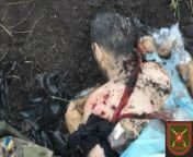 RU POV: NSFW. many bodies of Ukrainian soldiers found by Russian soldiers inAvdeevka from by russian soldiers movie scene