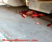 Woman run over by large truck! www.heinoushumanity.com from www xvideo com woman girl