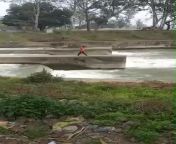 Youth Jumps Into Canal For TikToK Video, Hits Rock, Dies Instantly from english video hits com