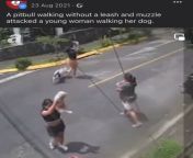 Man saves a woman from attacking pitbull (I hope its not a repost) from inglish direct s
