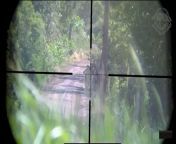 Ukrainian SSO sniper takes out Russian infantry from yabo888appqs2100 ccyabo888app sso