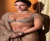 Bhumi Pednekars sexy cleavage and navel from rani chatterjee showing cleavage and navel in hot masala song