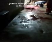 Horrifying screams of a mother after finding his son murdered on the streets by colombian police from mother son incest cartoon sex 3gp v